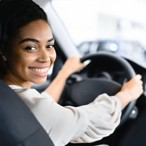 Professional Chauffeur